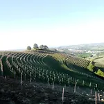 Domus Langhe 트레이소