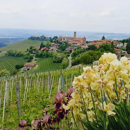 Domus Langhe B&B 4*