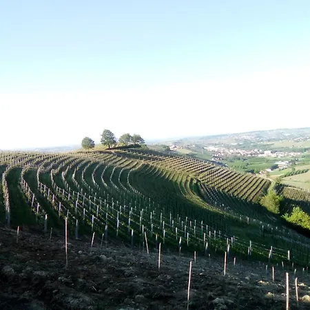Domus Langhe Треизо