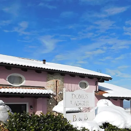 Domus Langhe 4* Треизо
