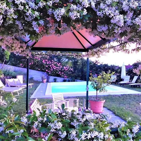 Domus Langhe Bed & Breakfast